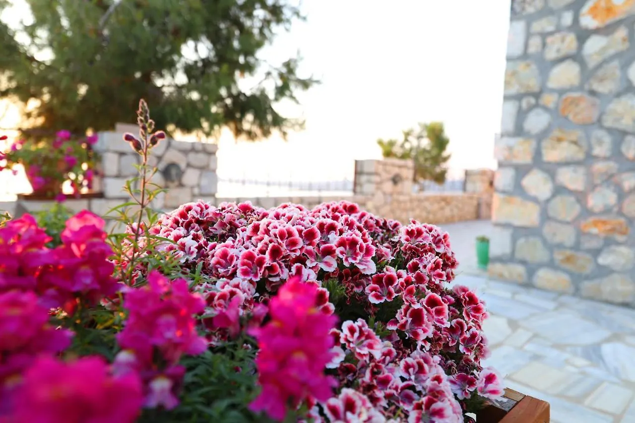 Appartement Vila Dena Vlorë Albanië