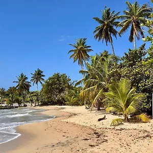 https://curaao-13.comcaribbean.com