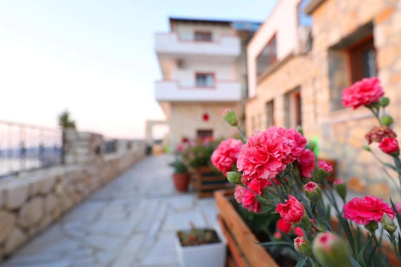 Apartment Vila Dena Vlore Albania